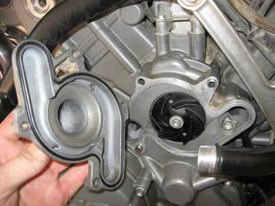 waterpump rebuild