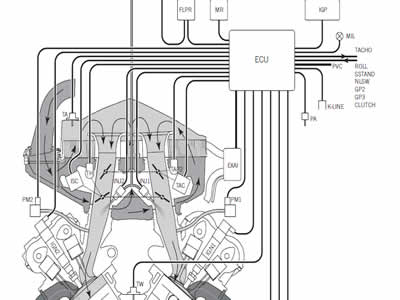 F.I. System Description